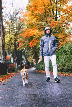 Man walk with dog by autumn street