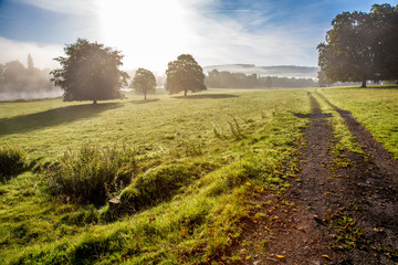 Mist, trees and Sunrise over Shropshire country side UK.