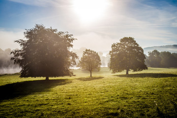 Mist, trees and Sunrise over Shropshire country side UK.