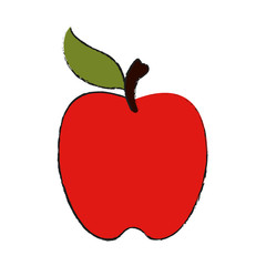 apple fruit icon image vector illustration design
