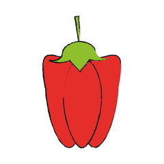 bell pepper vegetable icon image vector illustration design