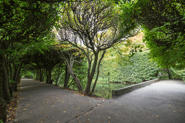Fototapeta premium Beautiful tree alley at the Oliwa Park (Park Oliwski). It's a public park in Gdansk, Poland.