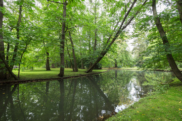 View of lush trees and their reflections on a quiet and calm river at the Oliwa Park (Park Oliwski). It's a public park in Gdansk, Poland.