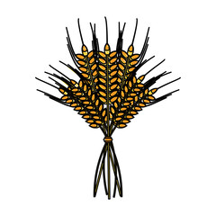 Obraz premium wheat ears icon image vector illustration design