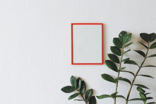 Mock up photo red frame with zamioculcas plant. home decor