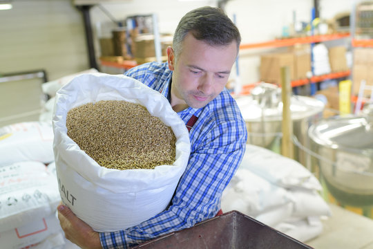 man pouring grains in a machine