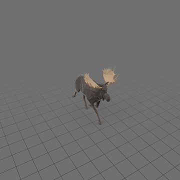 Stylized moose running