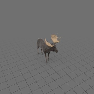 Stylized moose standing