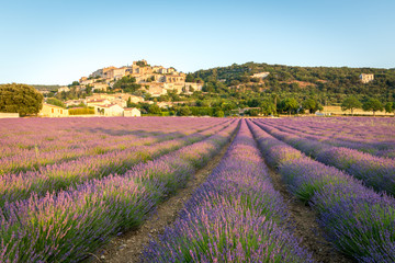 Fototapeta na wymiar Beautiful medieval village Simiane la Rotonde, Provence, France