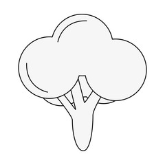 broccoli vegetable icon image vector illustration design