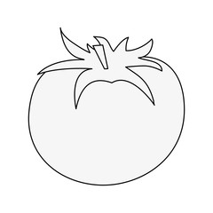 tomato fruit icon image vector illustration design