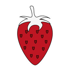 Fototapeta premium strawberry fruit icon image vector illustration design