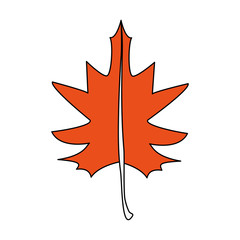 fall leaf icon image vector illustration design