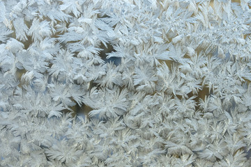 Frost on the window