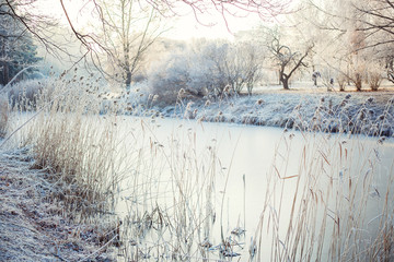 River in winter