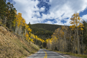 Naklejka premium beautiful scenic drive through a forest with aspen in fall foliage