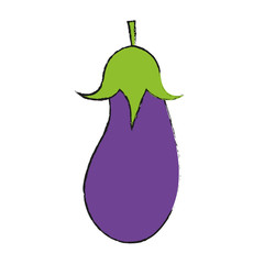 eggplant aubergine vegetable icon image vector illustration design
