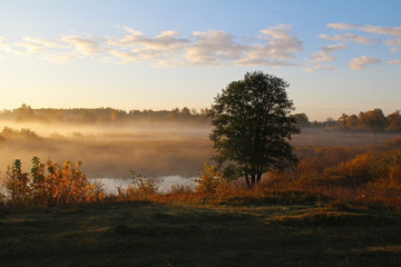 Misty nature landscape on early autumn morning. Russia.