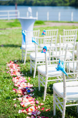 chairs for wedding ceremony, daylight