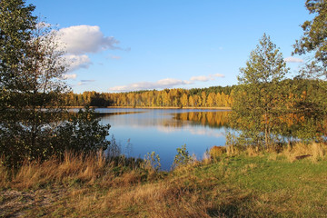 Fototapeta na wymiar Lake in a delightful autumn forest at sunny day. Russia.