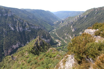 Fototapeta na wymiar les gorges du Tarn