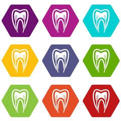 Tooth cross section icon set color hexahedron