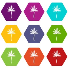Palm butia capitata icon set color hexahedron