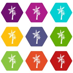 High palm tree icon set color hexahedron