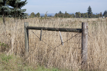 Old wooden gate in dry field