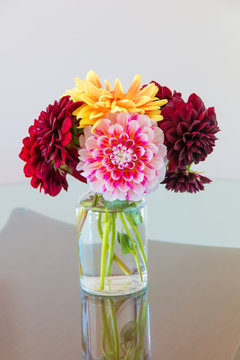 Autumn red and yellow dahlias bouquet in a vase