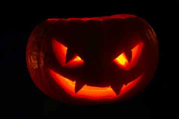 Halloween pumpkin on black
