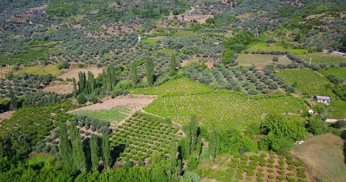 Sirince_Organic Farm_Turkey