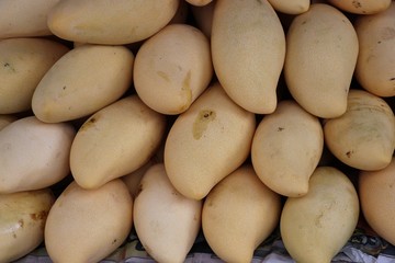 Fototapeta na wymiar Mango sweet fruit on shelf for traditional at Thailand market 