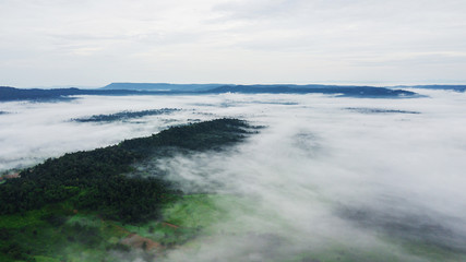 Mountains with trees and fog in thailand