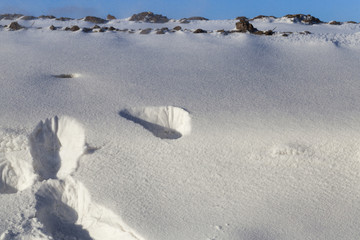 Snow in winter