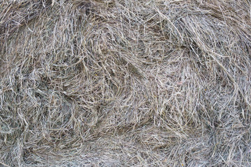 Hay ball texture