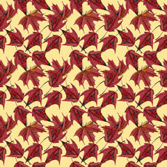 Fototapeta na wymiar Maple leaves watercolor seamless pattern