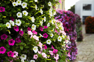 floral wall