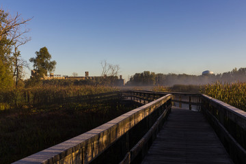 Misty Morning Bridge