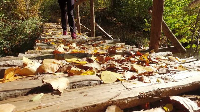 Hiking Woman feet walking over wooden bridge with autumn leaves, 