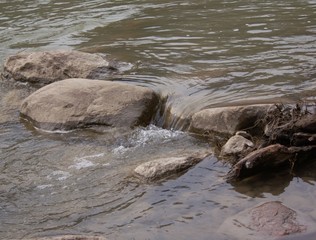 Rouge River in early spring