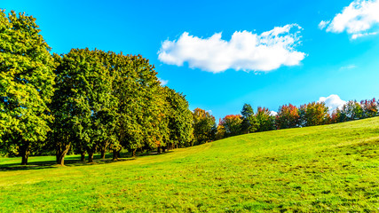 Trees along a country lane under blue sky near Fort Langley British Columbia