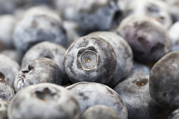 Blue ripe blueberries