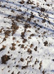 After snowfall