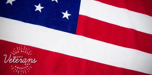 Composite image of logo for veterans day in america 