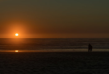 Fototapeta premium Oregon Coast