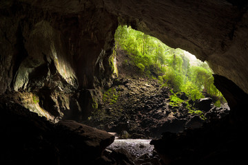 View from inside deer cave in gunung mulu national park looking outside