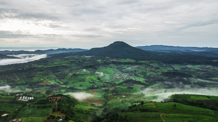 Fototapeta na wymiar Mountains with trees and fog in thailand