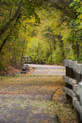 Autumn Trail