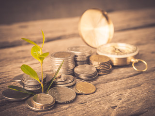 Closeup baby tree with coins on old wooden background. Business financce and saving money concpt.
